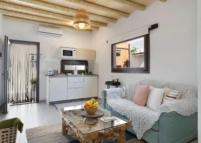 Pitaya アレシフェ